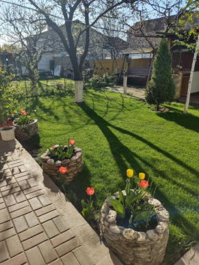 casa Olga 2 Mai